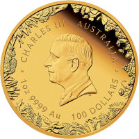 Australien Wonders of Australia 1. Ausgabe The Outback 2026 1 oz Gold Polierte Platte