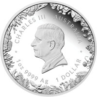 Australien Wonders of Australia 1. Ausgabe The Outback 2026 1 oz Silber Polierte Platte
