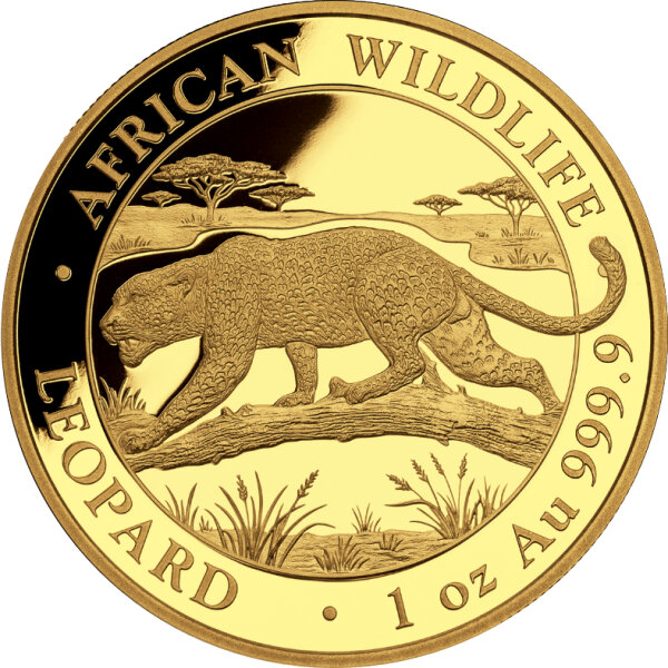 Somalia Leopard 2026 1 oz Gold