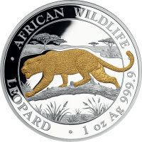 Somalia Leopard 2026 1 oz Silber - Teilvergoldet
