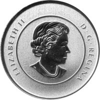 Kanada 20 Dollars 2014 - Sommerzeit - Silber