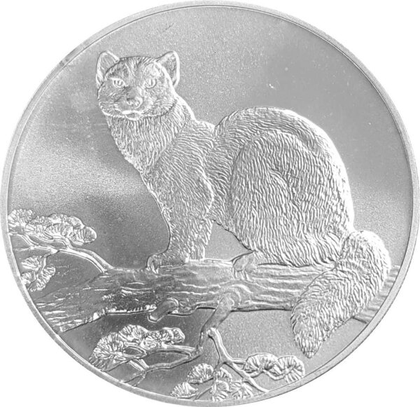Russland 3 Rubel 1995 Zobel - 1 oz Silber