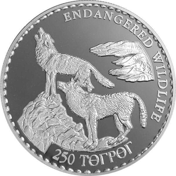 Mongolei 250 Tögrög 1992 - Bedrohte Tierwelt "Wölfe" - Silber PP