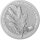 Round Mystischer Wald Oak Leaf - Eichenblatt 2019 1 oz Silber