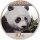 China Panda 2018 30 Gramm Silber - Coloriert