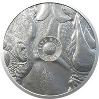Südafrika Big Five 3. Ausgabe Nashorn 2020 1 oz Silber