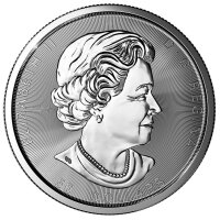 Kanada Magnificent Maple Leaf 2020 10 oz Silber