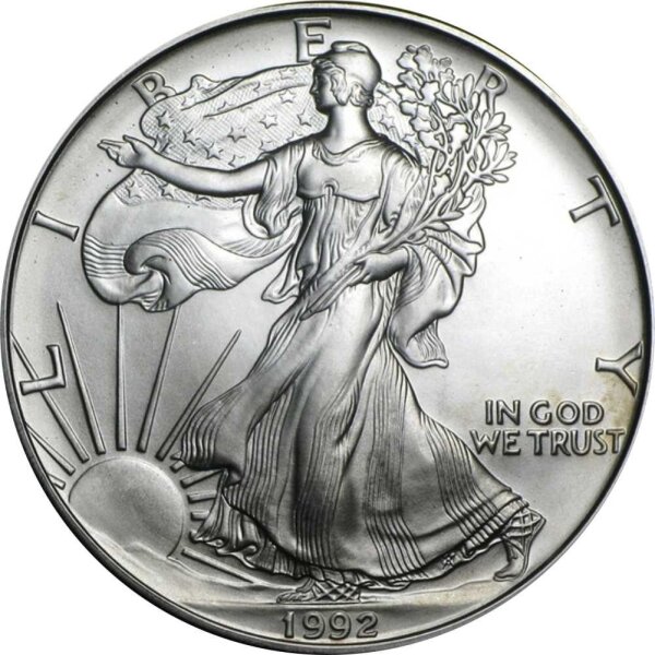 USA American Eagle 1993 1 oz Silber