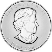 Kanada Maple Leaf 2004 1 oz Silber