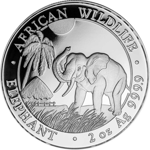 Somalia Elefant 2017 1000 Gramm Silber