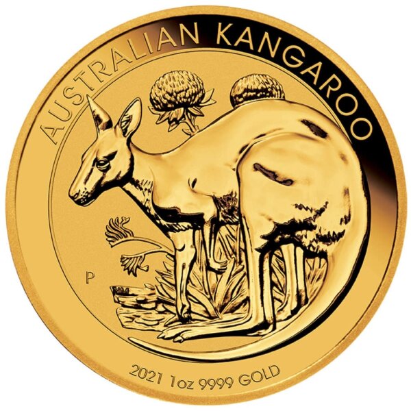 Australien Känguru 2021 1 oz Gold