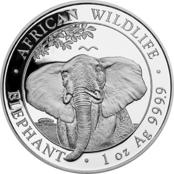 Somalia Elefant 2021 1000 Gramm Silber