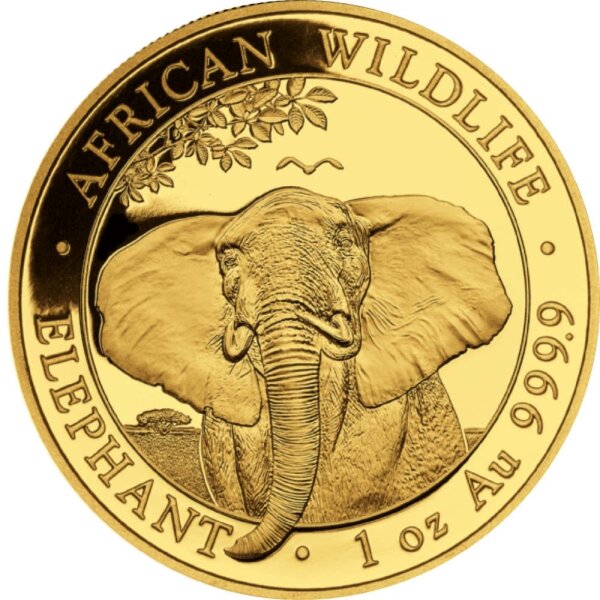 Somalia Elefant 2021 1 oz Gold