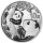 China Panda 2021 30 Gramm Silber