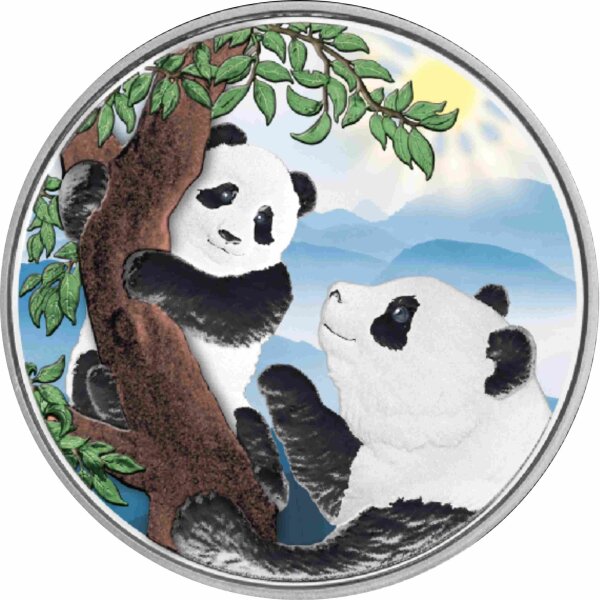 China Panda 2021 30 Gramm Silber - Farbapplikation