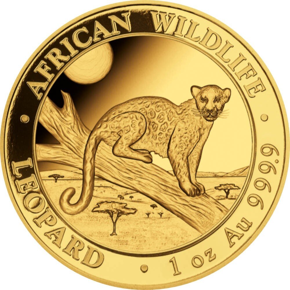 Somalia Leopard 2021 0,5 Gramm Gold