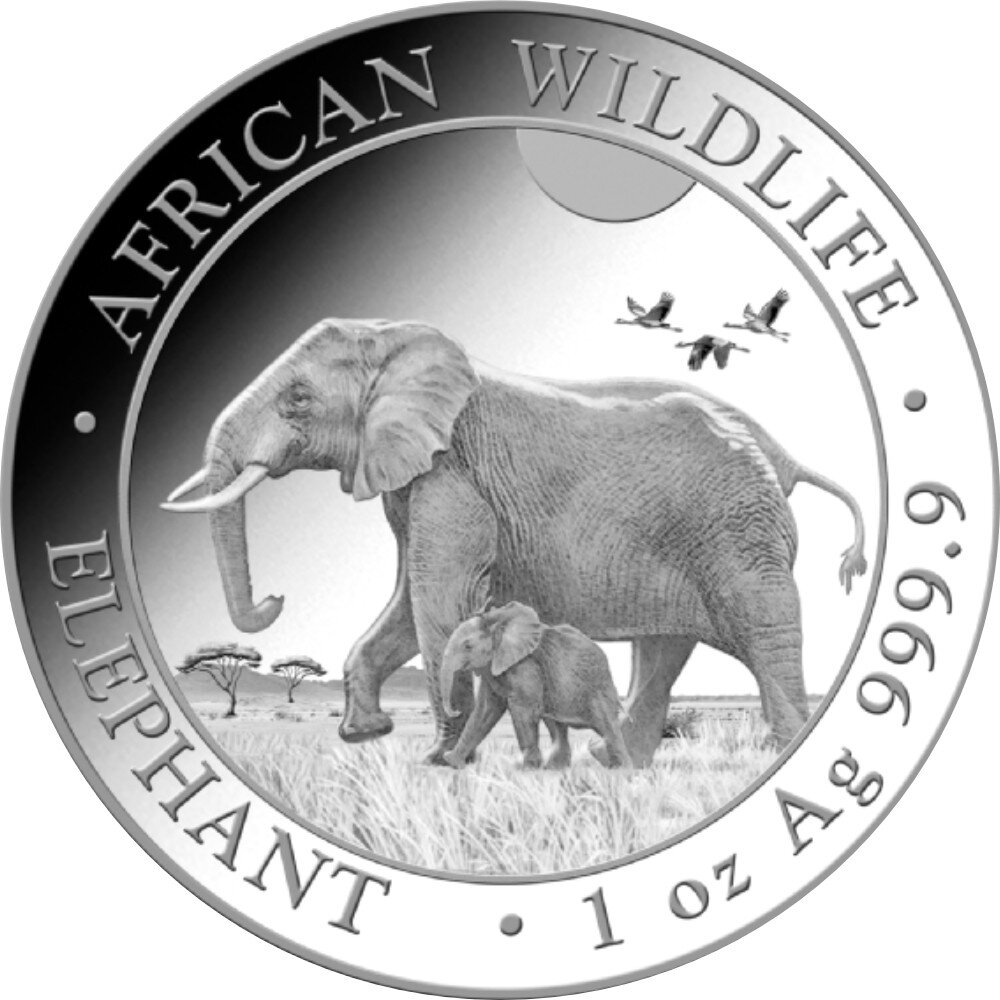 Somalia Elefant 2022 1 oz Silber | incl. Münzkapsel