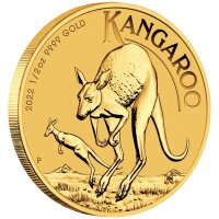 Australien Känguru 2022 1/2 oz Gold