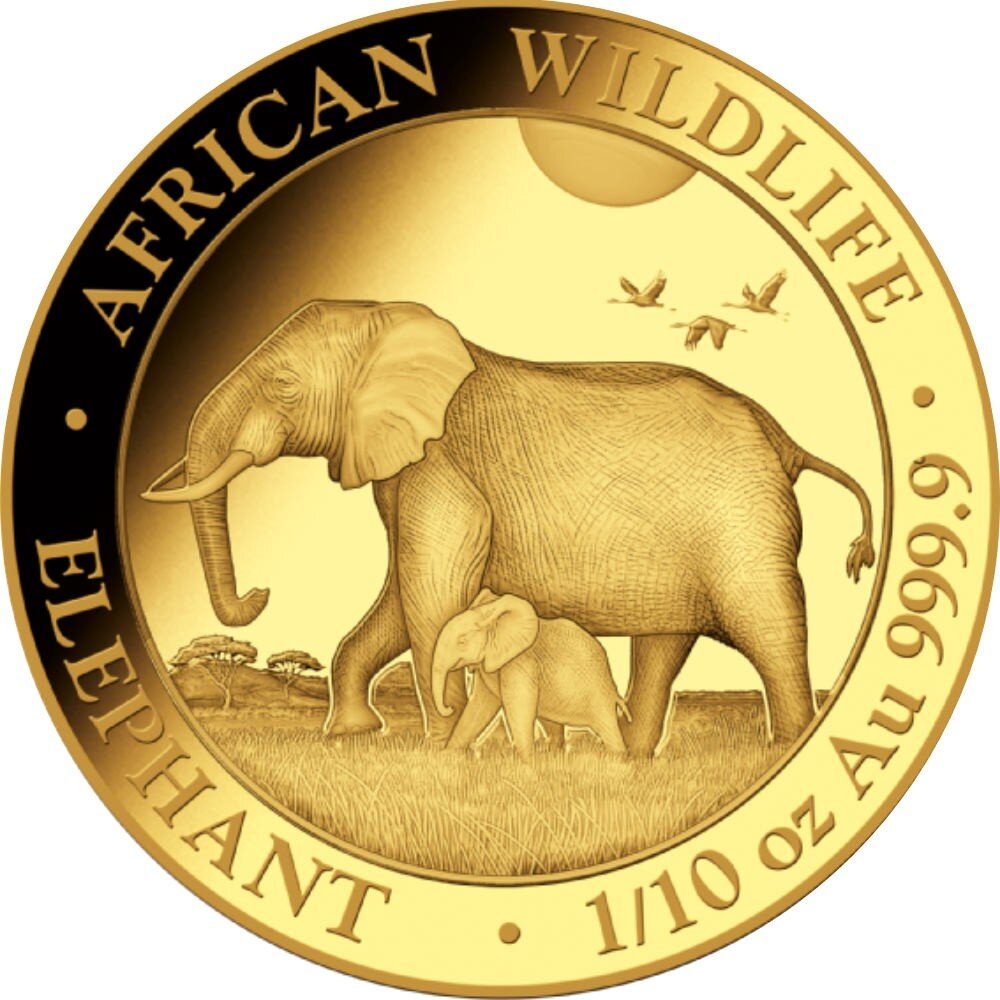 Somalia Elefant 2022 1/10 oz Gold