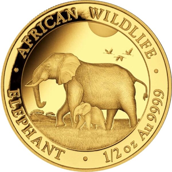 Somalia Elefant 2022 1/2 oz Gold