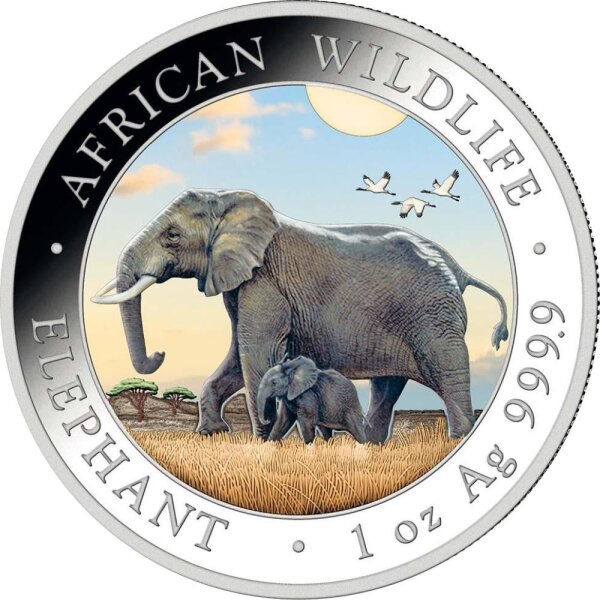 Somalia Elefant 2022 1 oz Silber - Farbapplikation