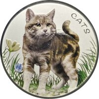 Fiji CATS 1. Ausgabe 2022 1 oz Silber | Coloriert