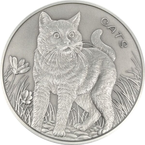 Fiji CATS 1. Ausgabe 2022 5 oz Silber | Antik Finish