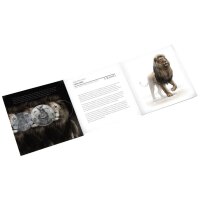 Südafrika Big Five II 2. Ausgabe Löwe 2022 1 oz Silber