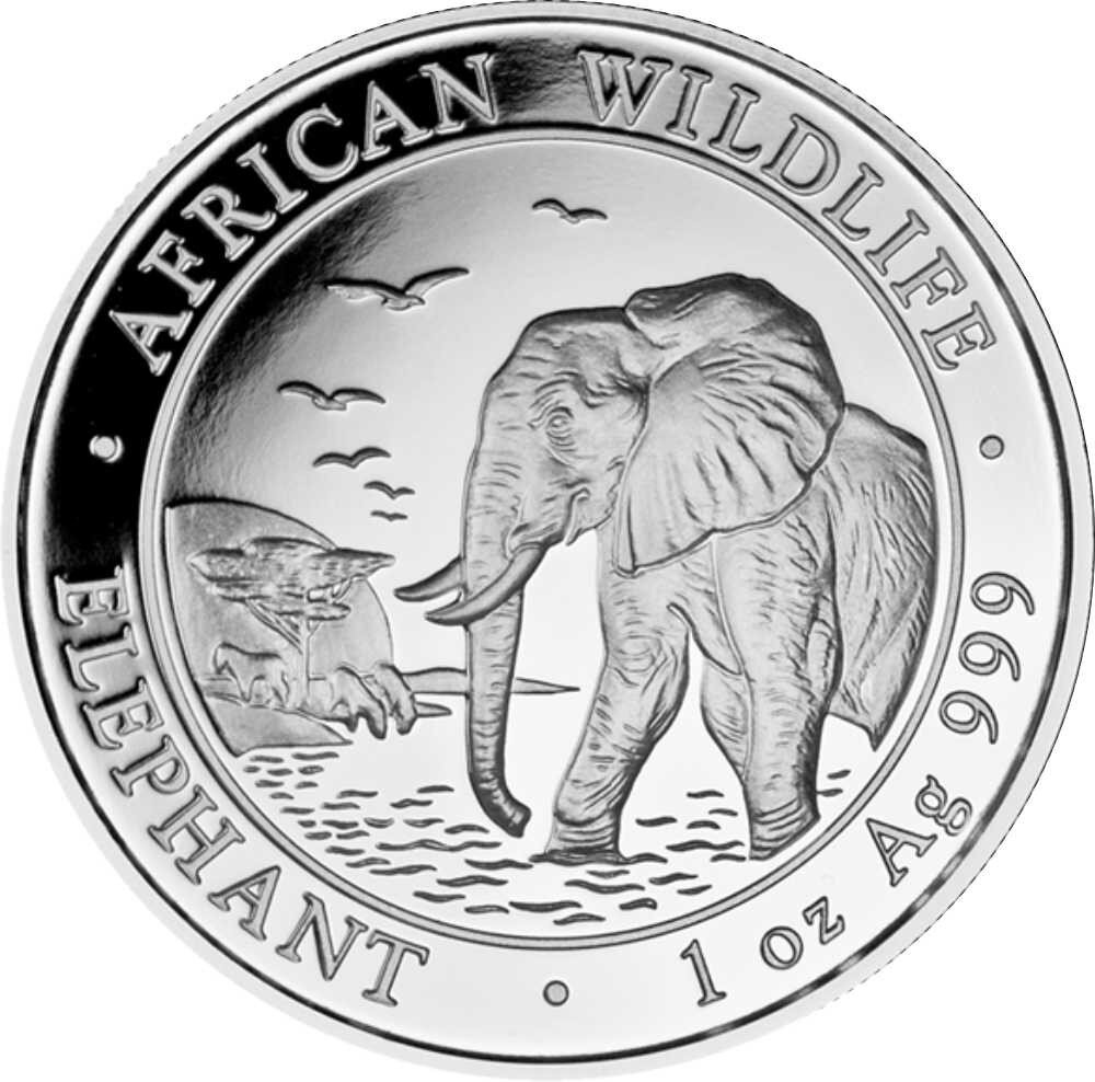 Somalia Elefant 2010 1 oz Silber