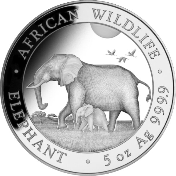 Somalia Elefant 2022 5 oz Silber