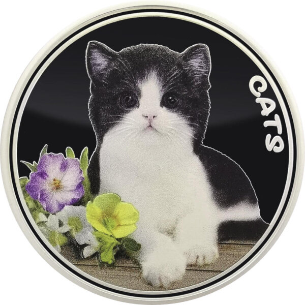 Fiji CATS 2. Ausgabe 2022 1 oz Silber | Prooflike - Coloriert