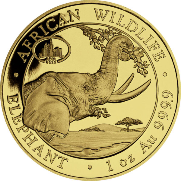 Somalia Elefant 2022 1 oz Gold - Motiv 2023 - ANA