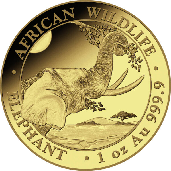 Somalia Elefant 2023 1 oz Gold