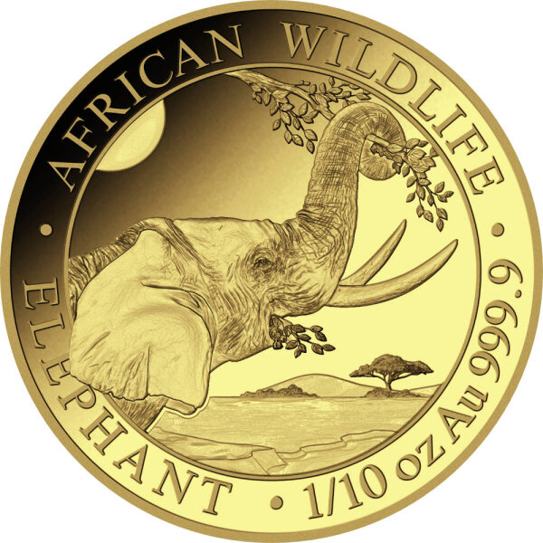 Somalia Elefant 2023 1/10 oz Gold