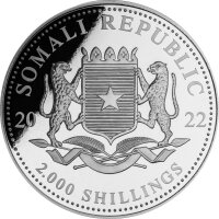 Somalia Leopard 2022 1000 Gramm Silber