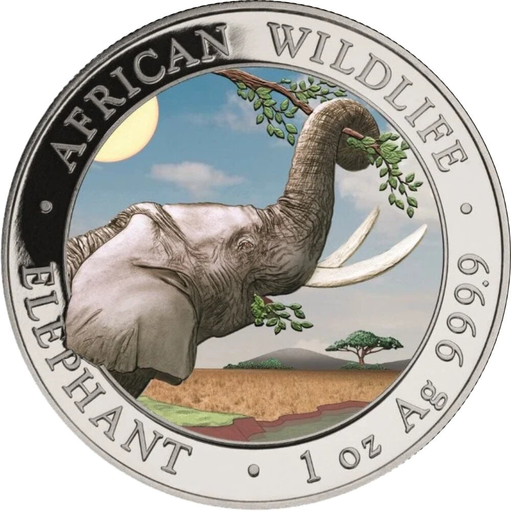 Somalia Elefant 2023 1 oz Silber - Farbapplikation