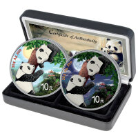 China Panda 2023 30 Gramm Silber - Day and Night