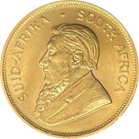 Südafrika Krügerrand 1989 1 oz Gold