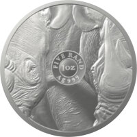 Südafrika Big Five II 3. Ausgabe Nashorn 2022 1 oz Silber