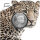Südafrika Big Five II 4. Ausgabe Leopard 2023 1 oz Silber