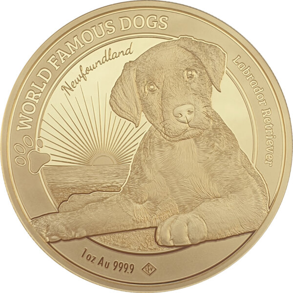 Kamerun World Famous Dogs 2. Ausgabe - Labrador Retriever 2023 1 oz Gold
