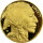 USA American Buffalo 2021 1 oz Gold | Polierte Platte - Proof